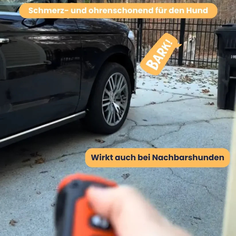 RuheMeister™ Pro - Schonendes Ultraschall Training für ruhiges Zuhause