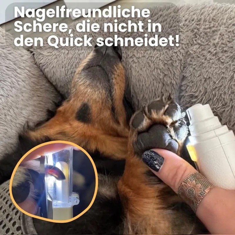 LichtSchere™ Pro - Die 2-in-1 LED-Krallenschere für sichere Pfotenpflege ohne Angst
